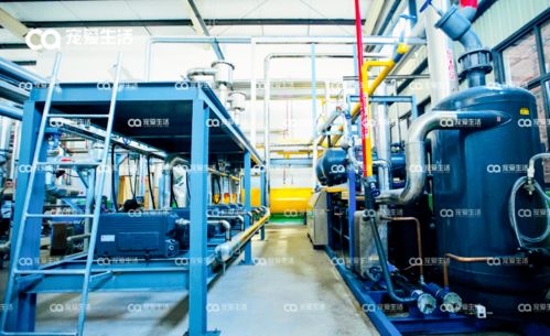 愛立方 從品牌到自建工廠，以D2級壓力容器專注打造凍干好物