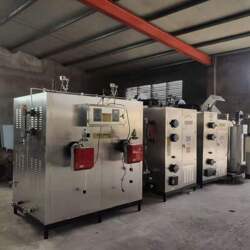 專業選擇與安裝 丹東、山東地區洗衣廠A級蒸汽發生器的應用